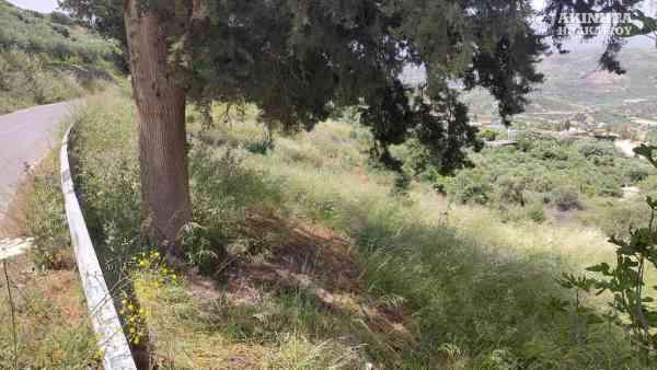 εικόνα_Viber_2026-05-18_10-44-07-639.jpg